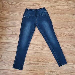 Style and Co Denim, PP Curvy